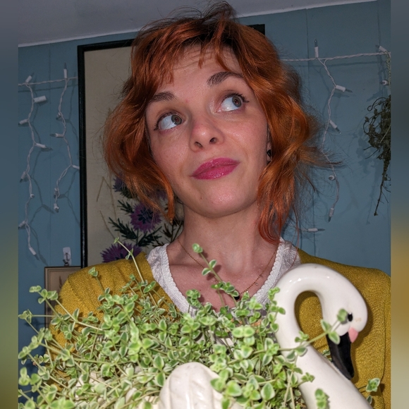 Meet your Posher, Ashley - Picture 5 of 8